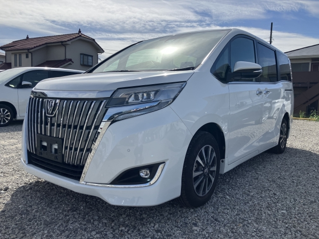 TOYOTA ESQUIRE 2019