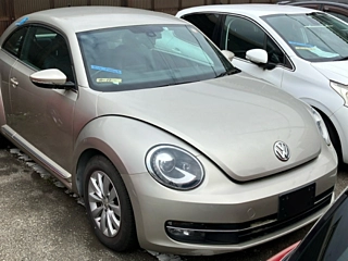VOLKSWAGEN THE BEETLE 2016
