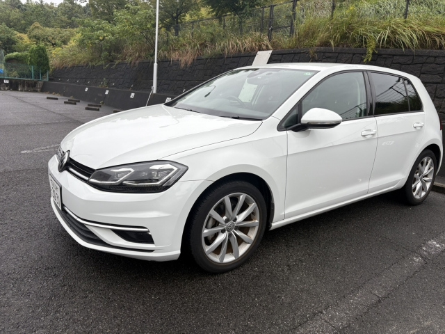 VOLKSWAGEN GOLF 2019