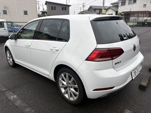 VOLKSWAGEN GOLF 2019