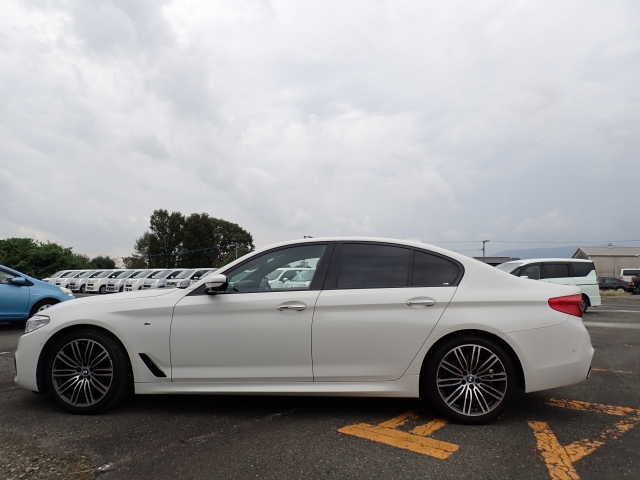 BMW 5 SERIES 2019