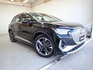 AUDI Q4 2024