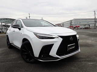 LEXUS NX 2022