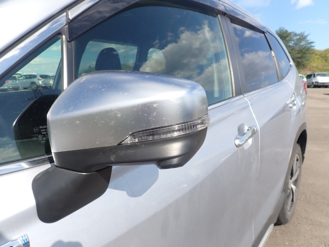 SUBARU FORESTER 2019