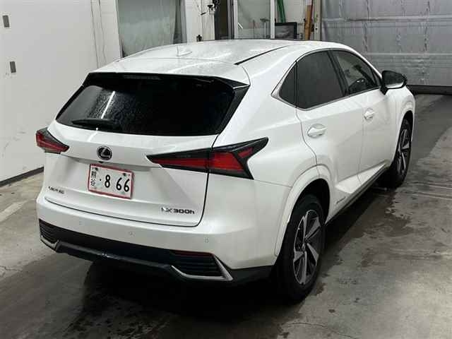 LEXUS NX 2021