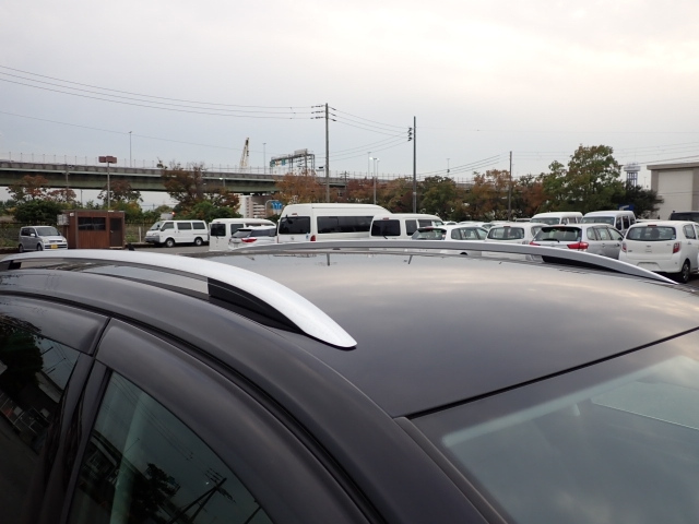 VOLKSWAGEN GOLF VARIANT 2018