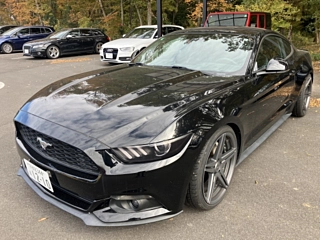 FORD MUSTANG 2015