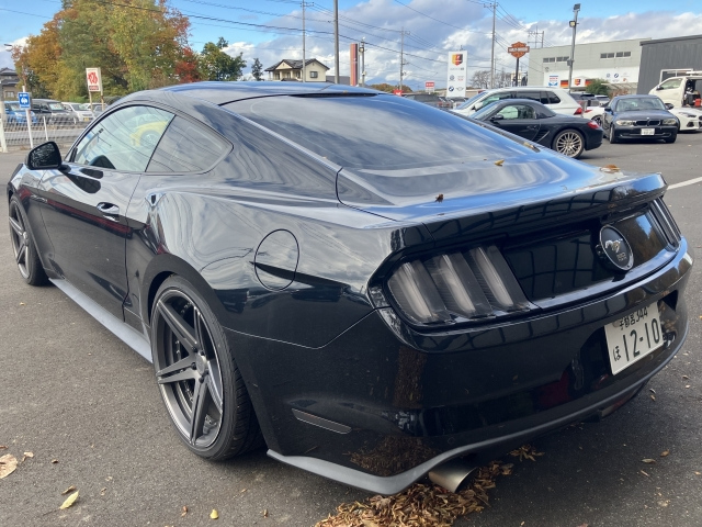 FORD MUSTANG 2015