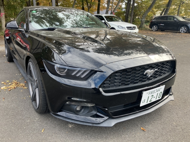 FORD MUSTANG 2015