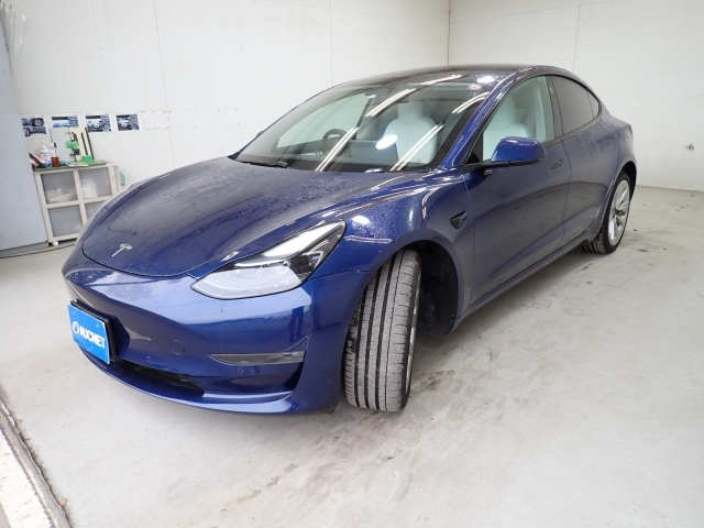 TESLA MODEL3 2022