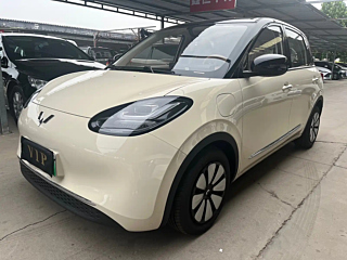 Заказать SGMW OTHER