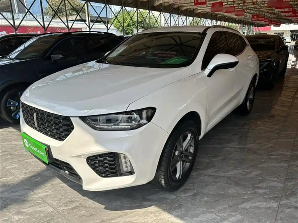 WEY VV5 2019