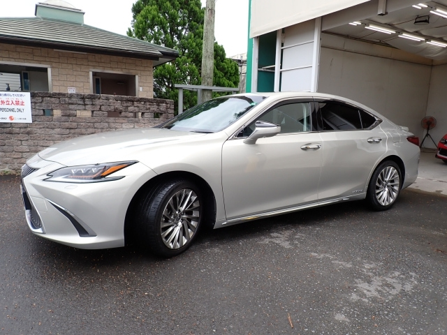 LEXUS ES 2019