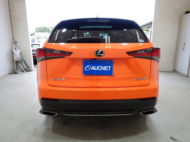 LEXUS NX 2019