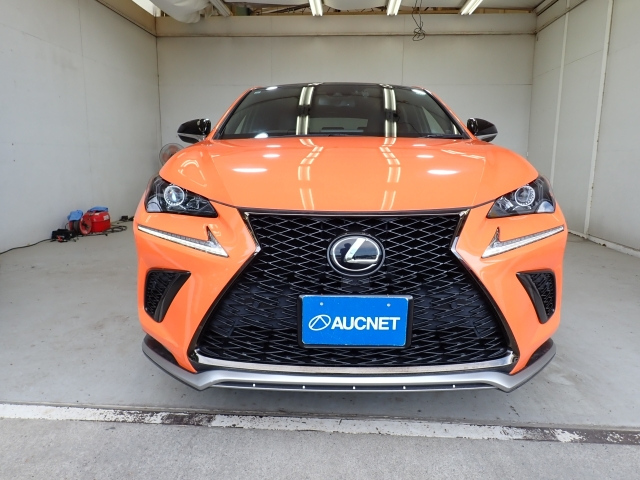 LEXUS NX 2019