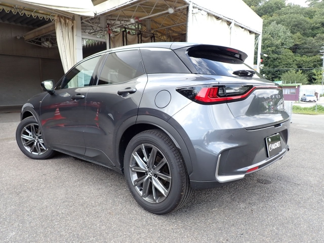 LEXUS LBX 2024