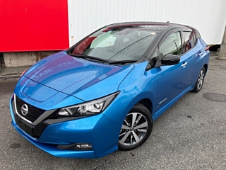 NISSAN LEAF 2021