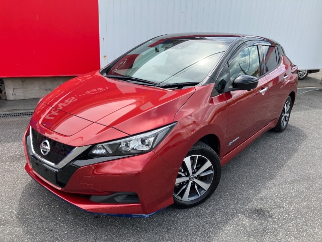 NISSAN LEAF 2019