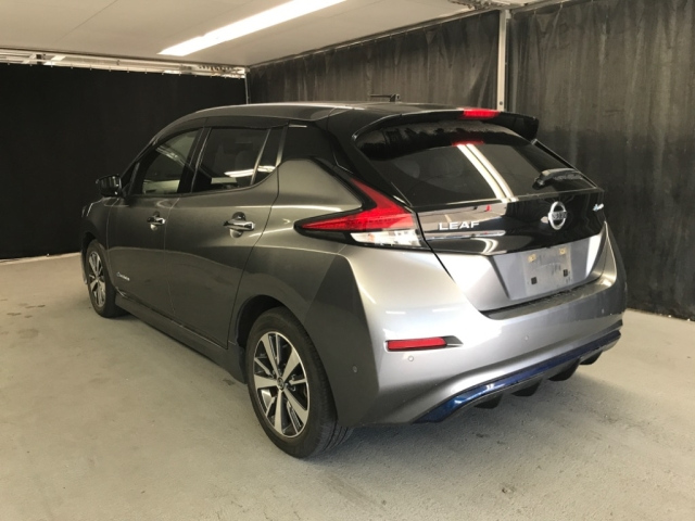 NISSAN LEAF 2019