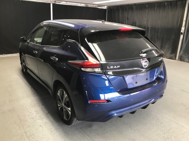 NISSAN LEAF 2018