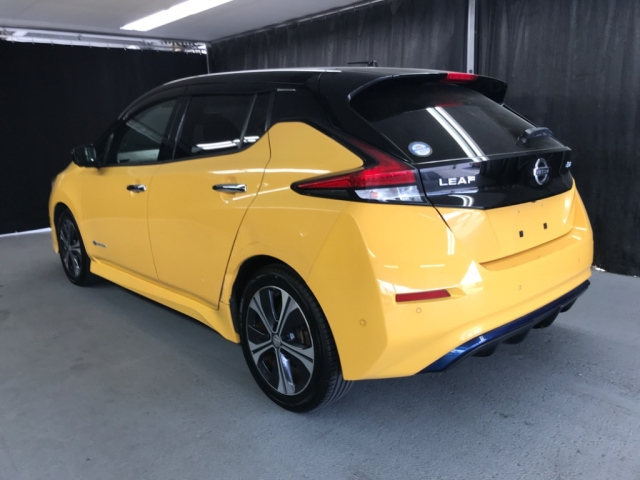 NISSAN LEAF 2018