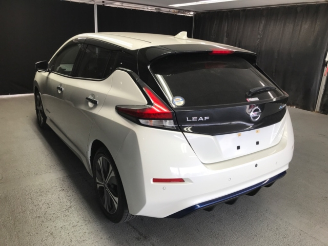 NISSAN LEAF 2020