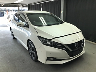 NISSAN LEAF 2018