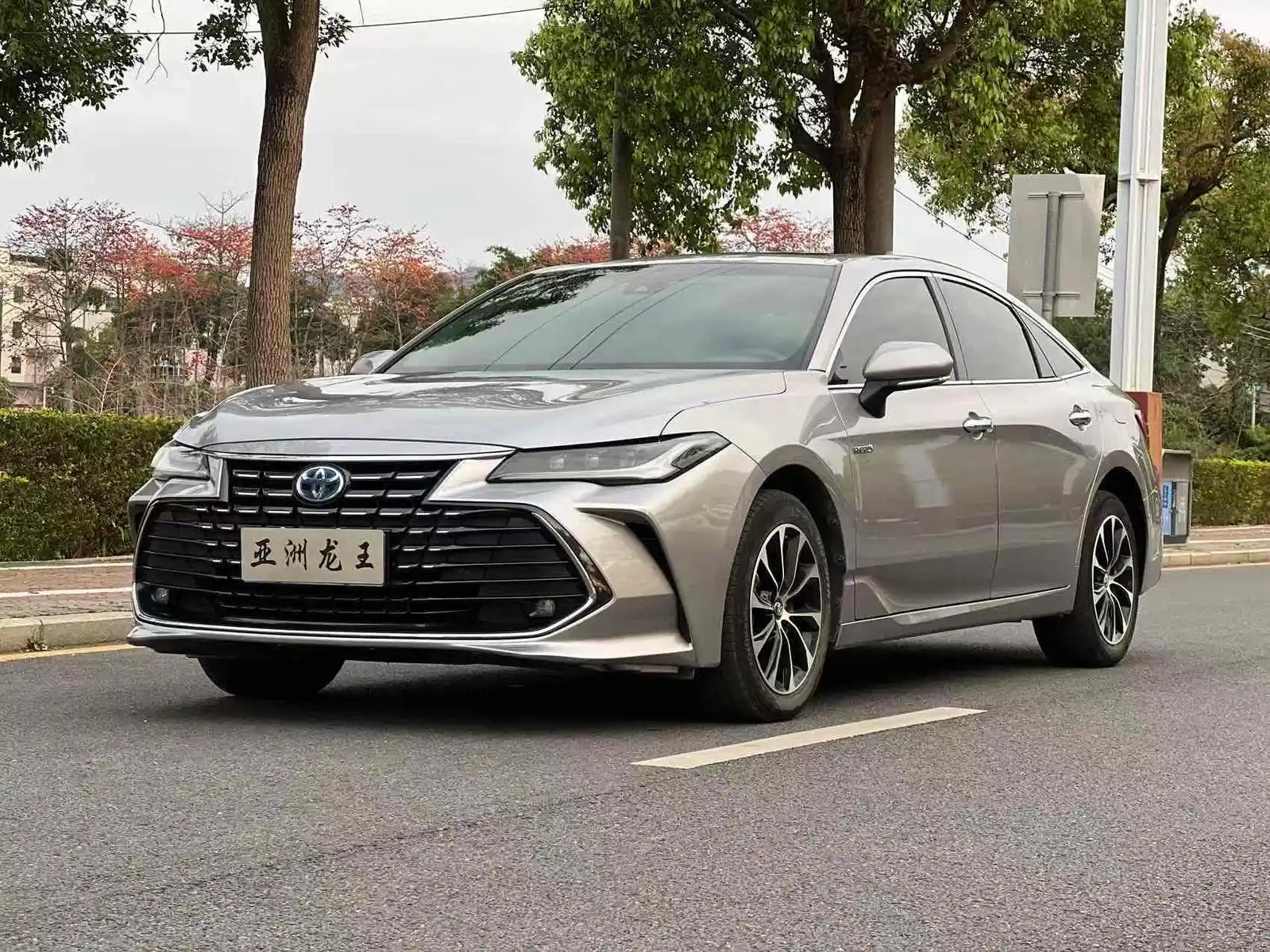 TOYOTA AVALON