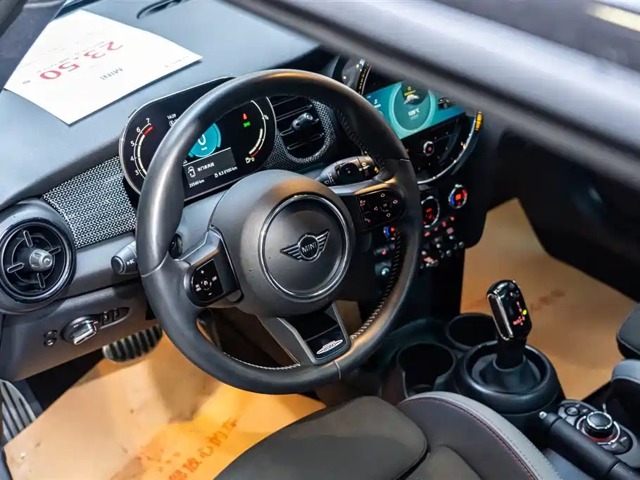MINI OTHER 2021