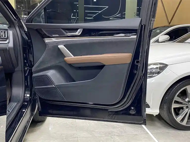 BYD TANG NEW ENERGY 2022