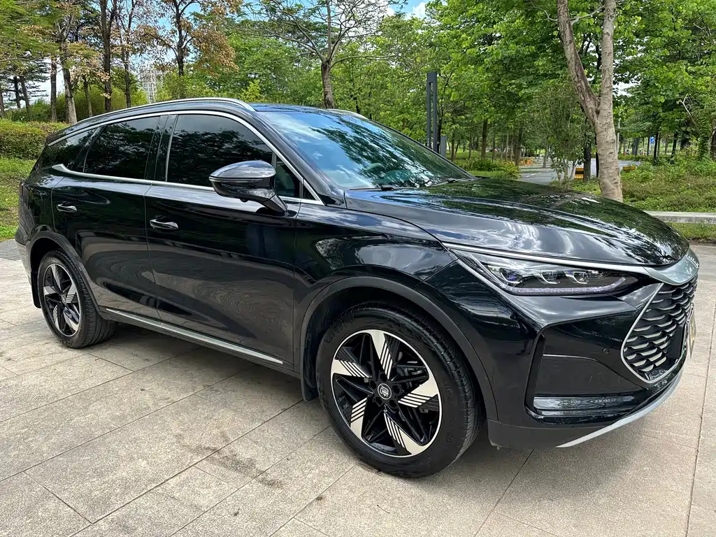 BYD TANG NEW ENERGY 2024