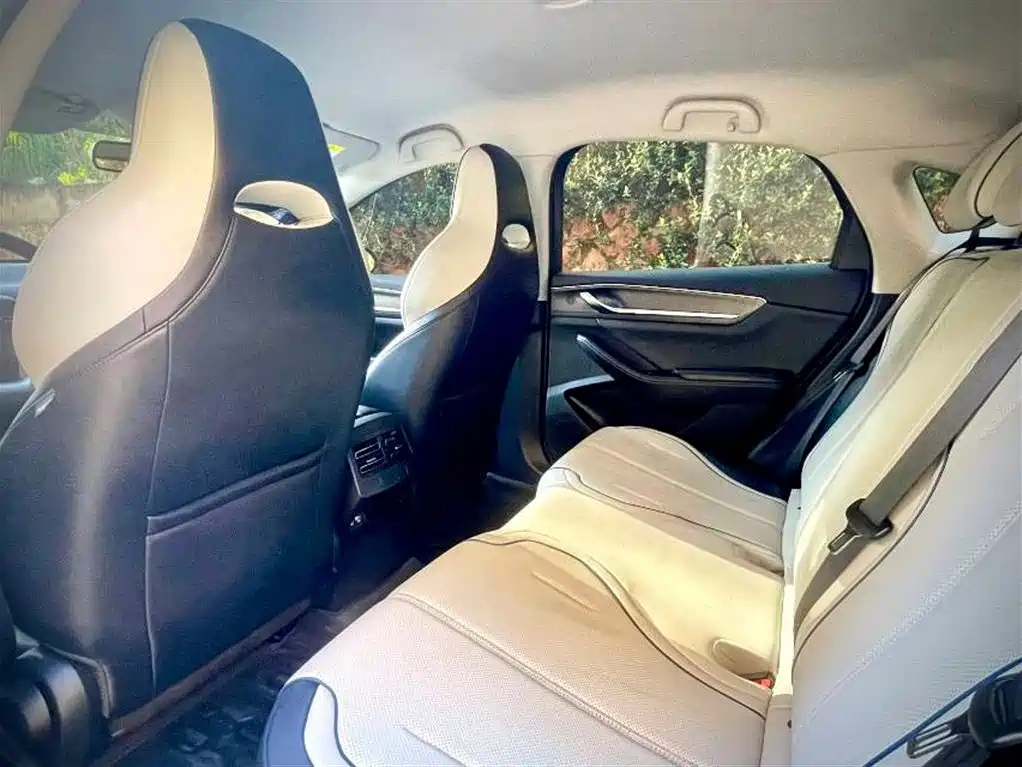 BYD DESTROYER 05 2024