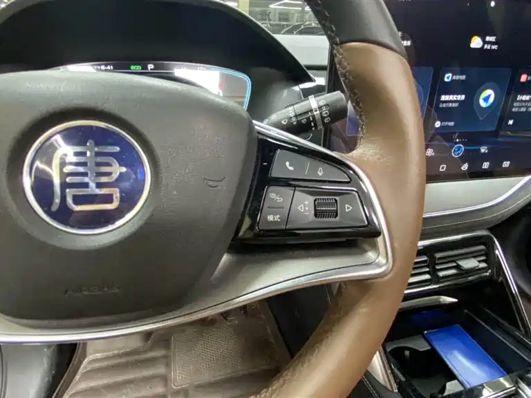 BYD TANG NEW ENERGY 2022
