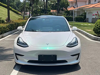 TESLA MODEL 3  2020