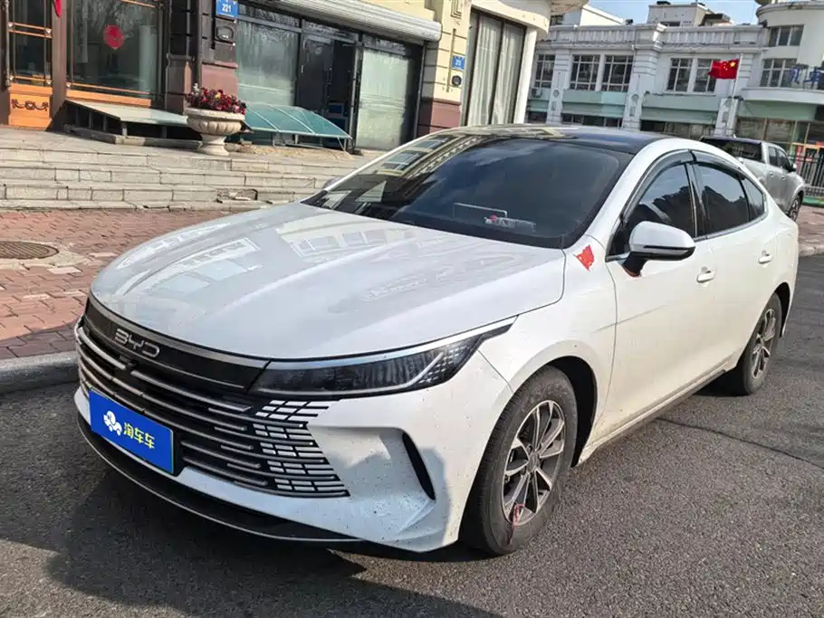 BYD DESTROYER 05 2024