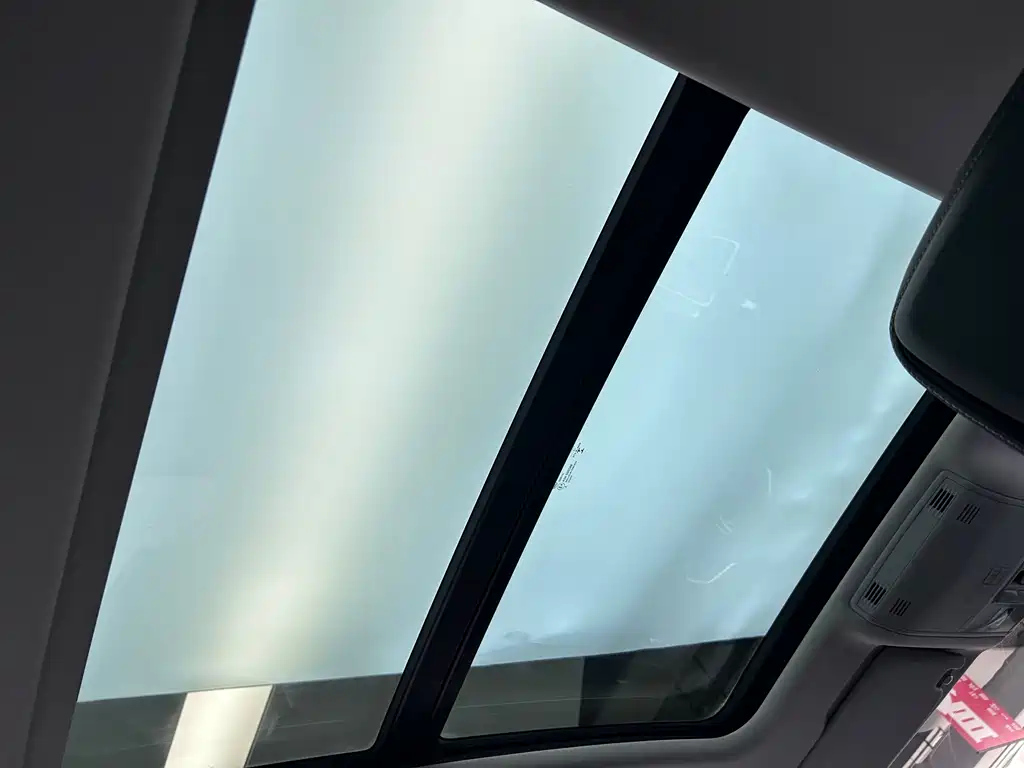 VOLKSWAGEN MAGOTAN 2020