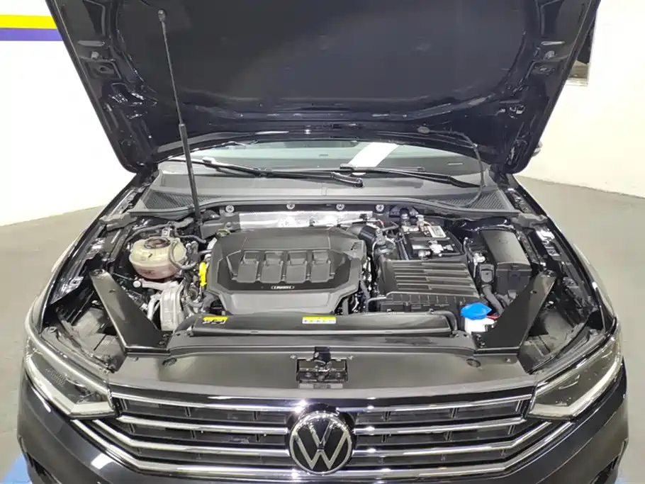 VOLKSWAGEN MAGOTAN 2020
