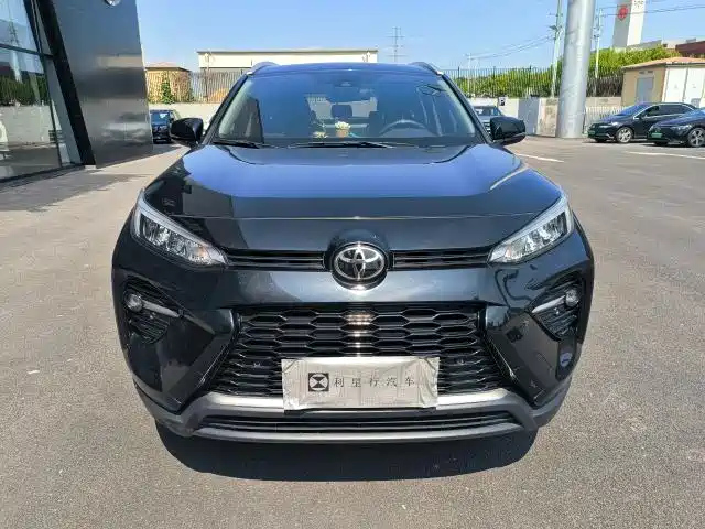 TOYOTA WILDLANDER 2020