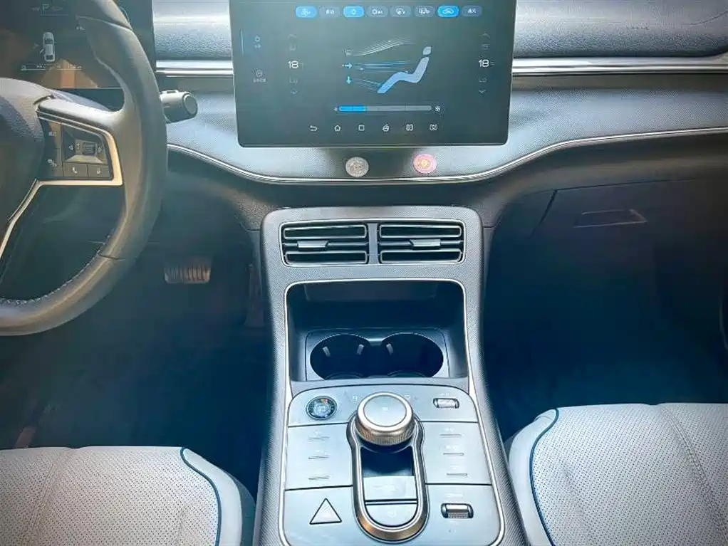 BYD DESTROYER 05 2024