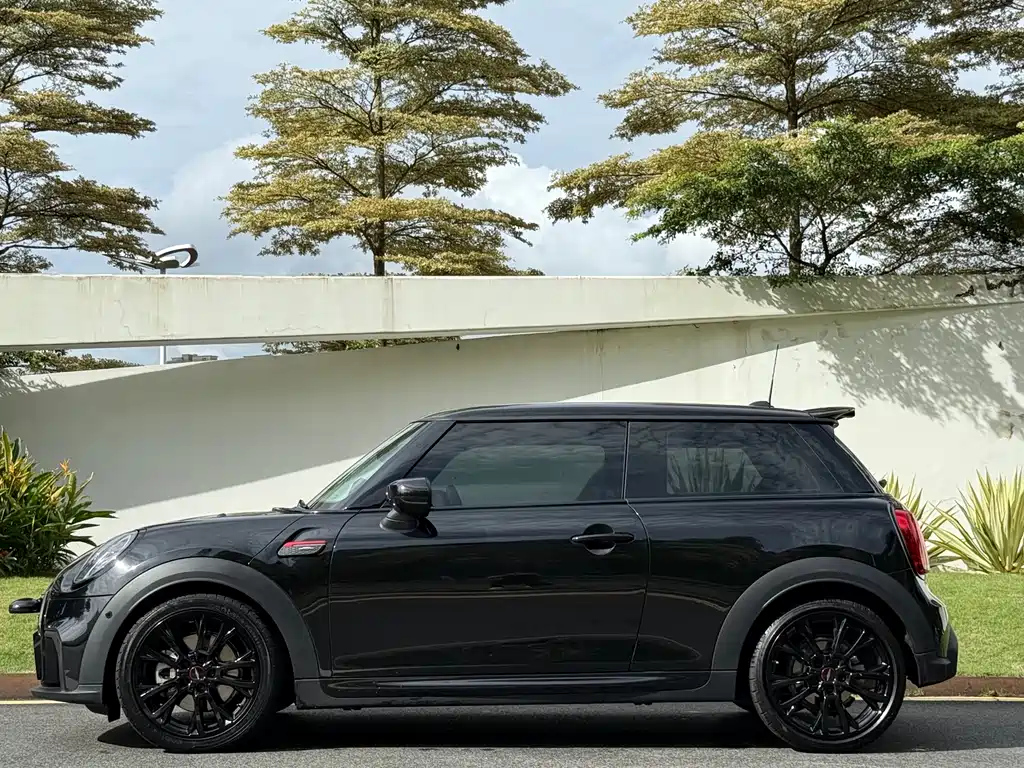 MINI OTHER 2023