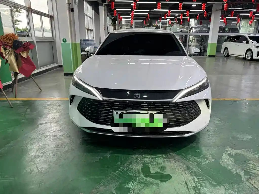 BYD QIN L 2024