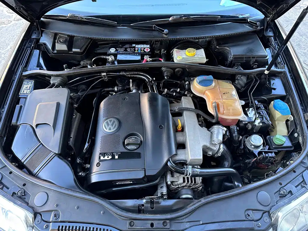 VOLKSWAGEN OTHER 2010