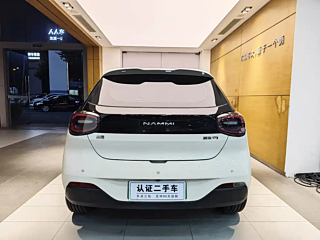 DONGFENG NANO 01  2024 YEAR  EDITION 330 AIR 2024