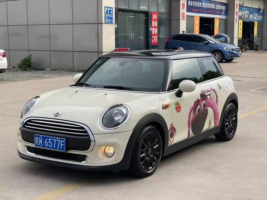 MINI OTHER 2018
