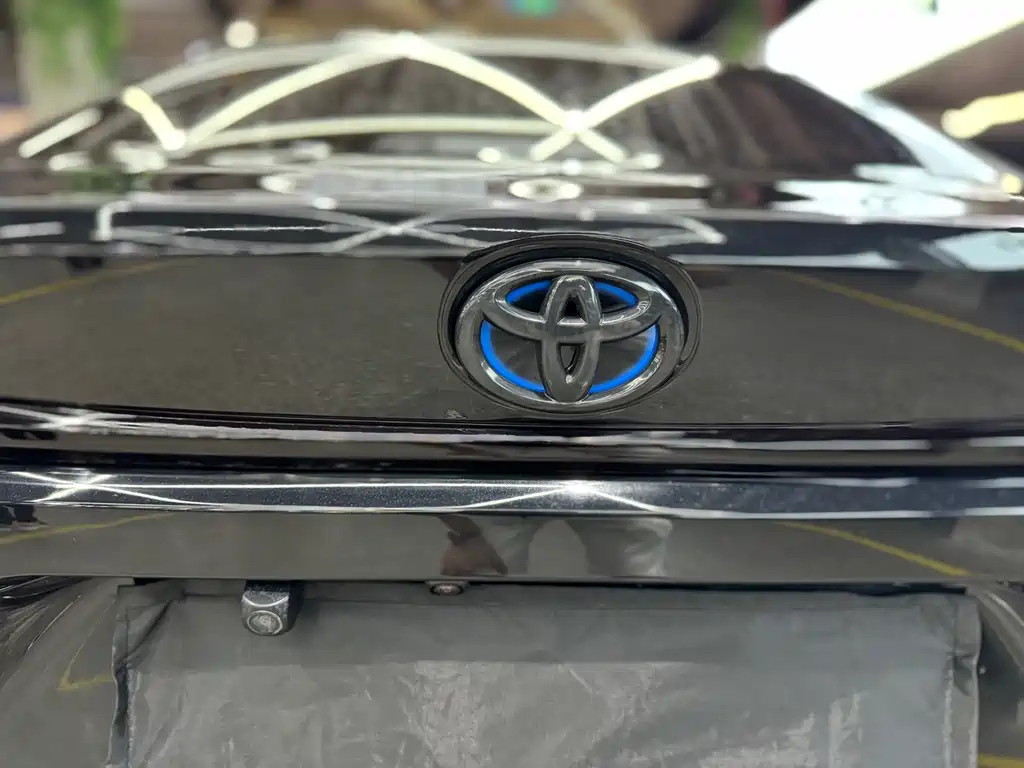 TOYOTA RALINK 2022