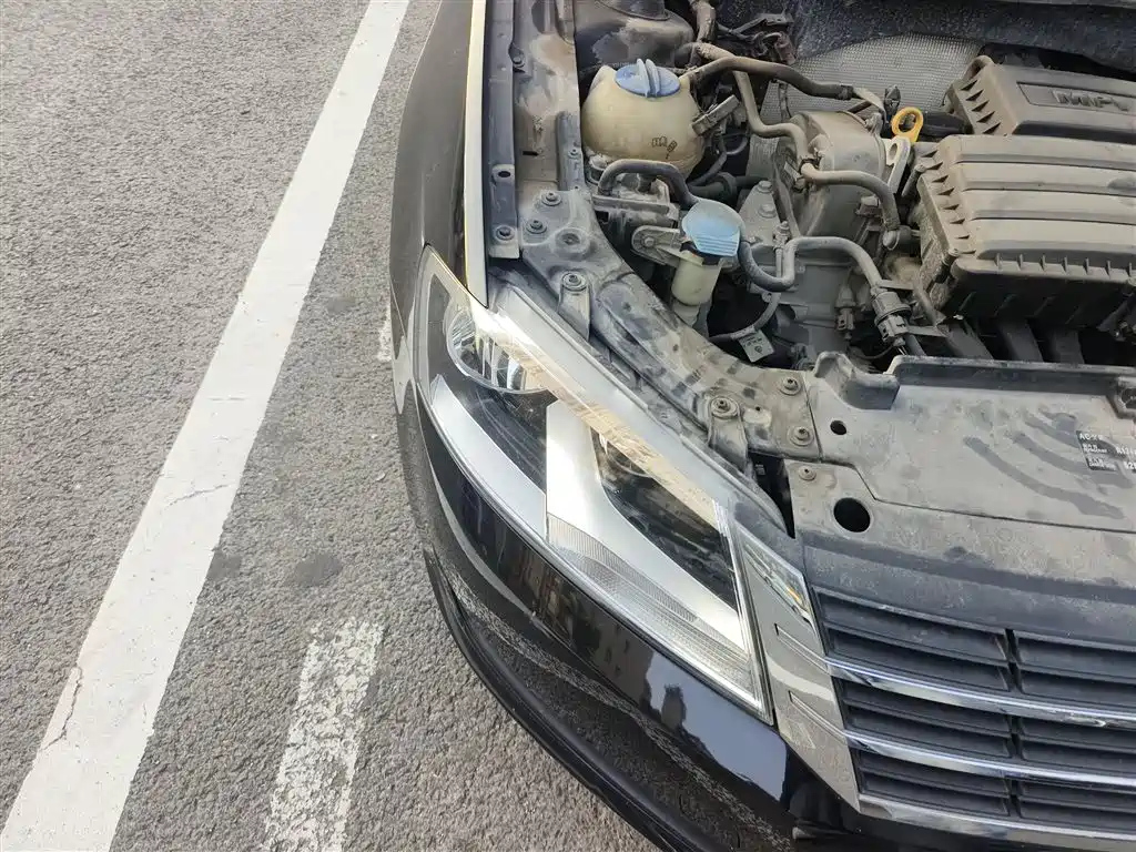 VOLKSWAGEN LAVIDA 2013