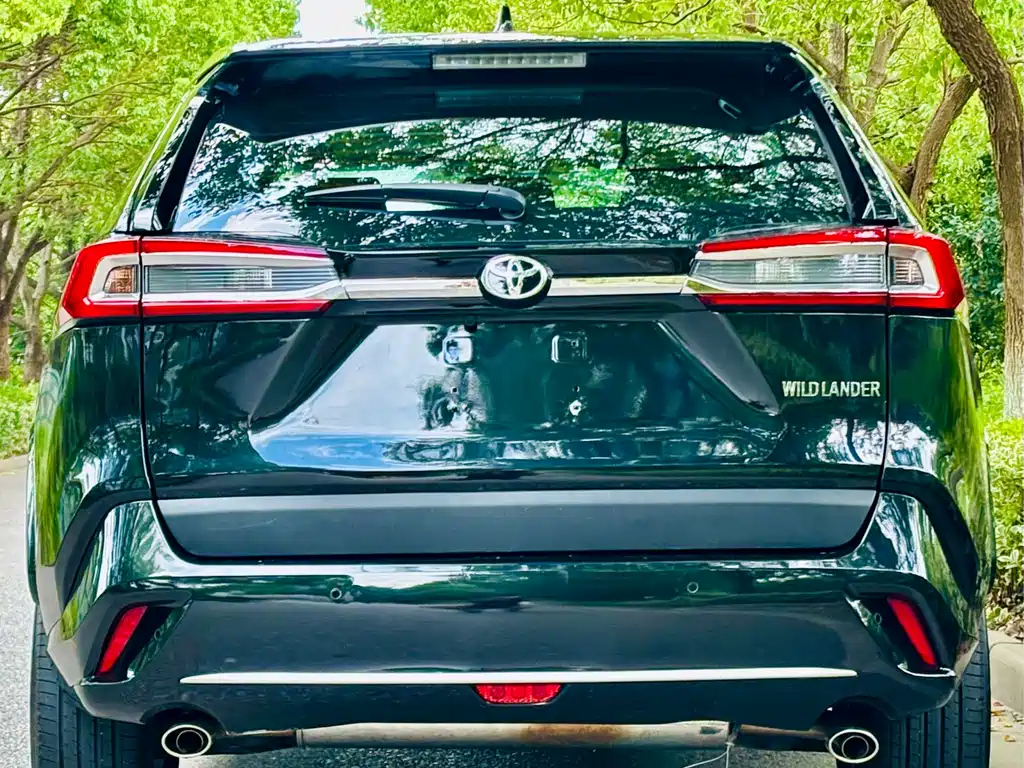 TOYOTA WILDLANDER 2024
