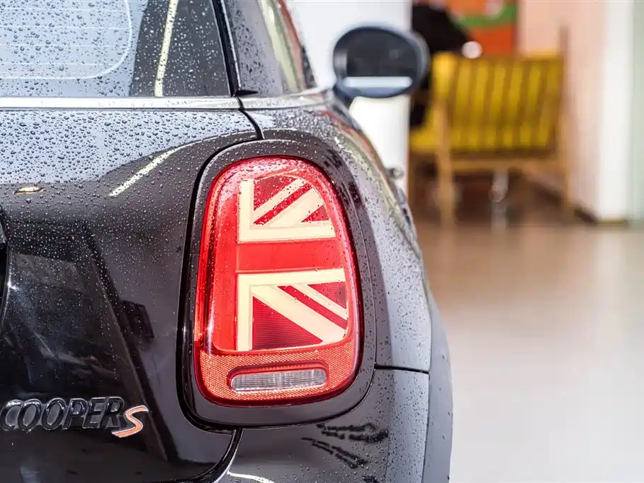 MINI OTHER 2021