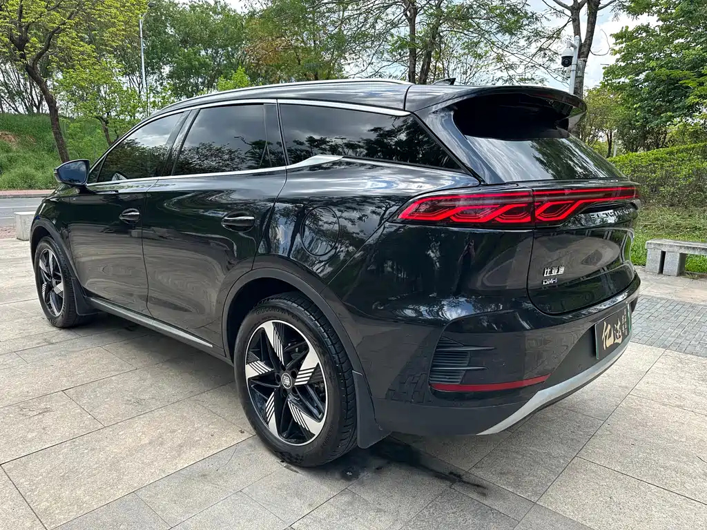 BYD TANG NEW ENERGY 2024