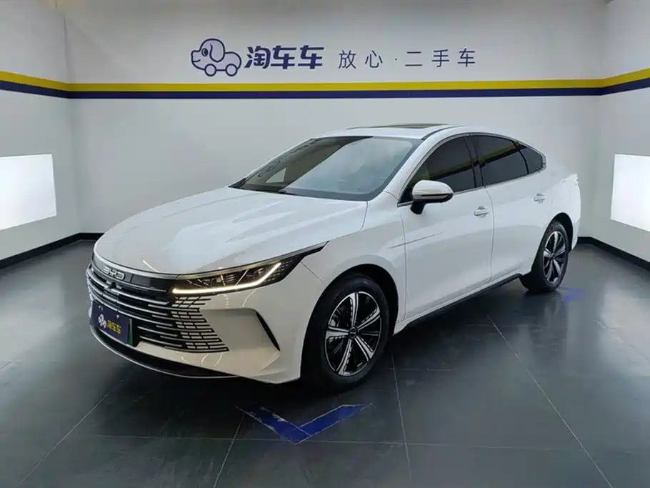 BYD DESTROYER 05 2022